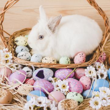 Пасха, Паска чи Великдень? 5 помилок в українській мові, яких соромно припускатися