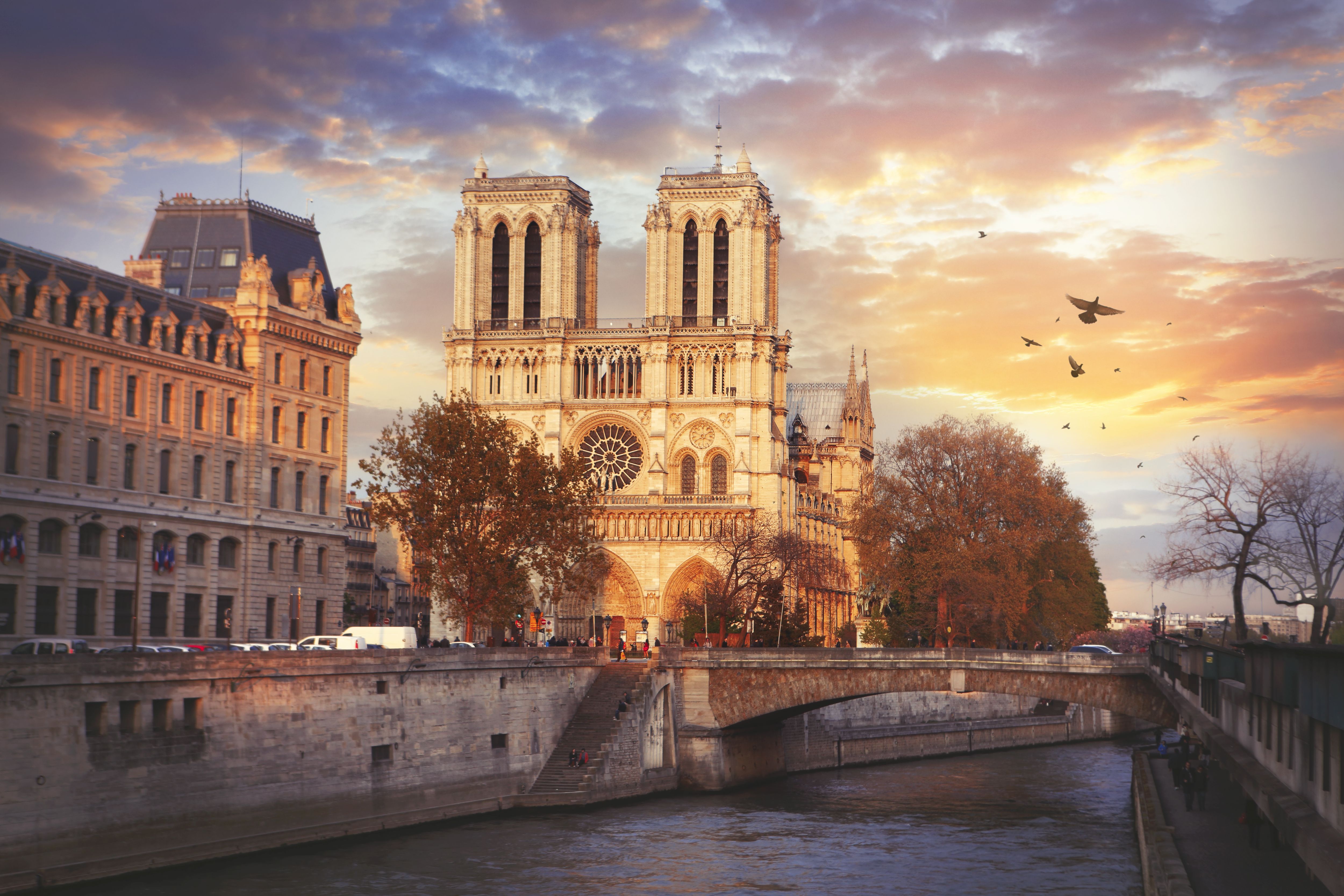 Собор Паризької Богоматері: новини та цікаві факти про шедевр
