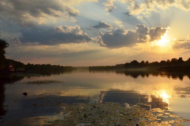 Опасна ли цветущая вода из Днепра: комментарий эколога