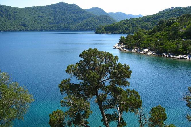 Острів Млєт Хорватія Мій путівник. Куди поїхати у відпустку?