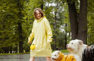 Как правильно выгуливать собаку в дождь?