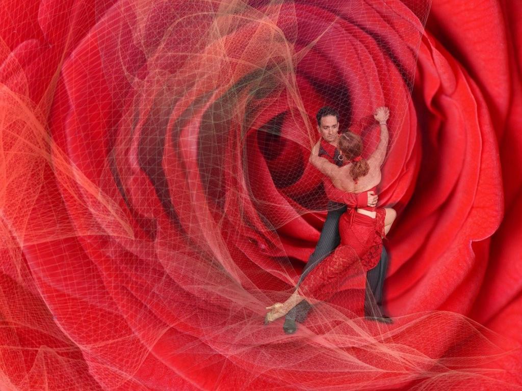 Танго на Танцах со звездами: страстный танец любви на паркете 5-го сезона шоу (видео)