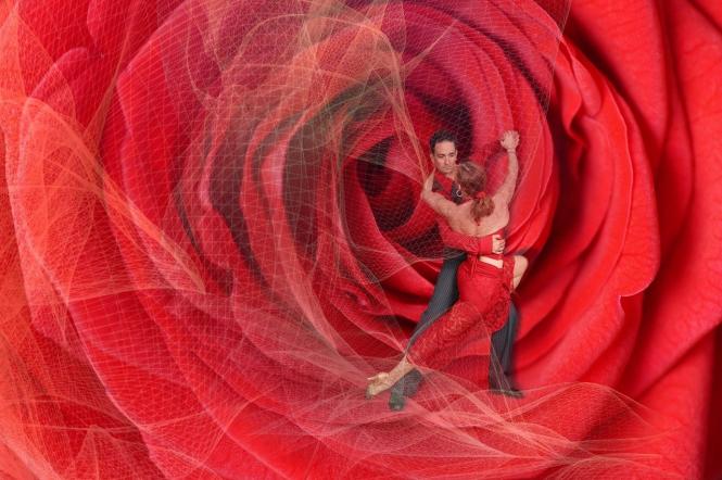 Танго на Танцах со звездами: страстный танец любви на паркете 5-го сезона шоу (видео)