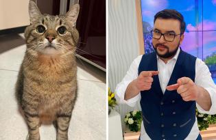 Интернет-сенсация, кот Степан, обратился к Бритни Спирс голосом Руслана Сеничкина
