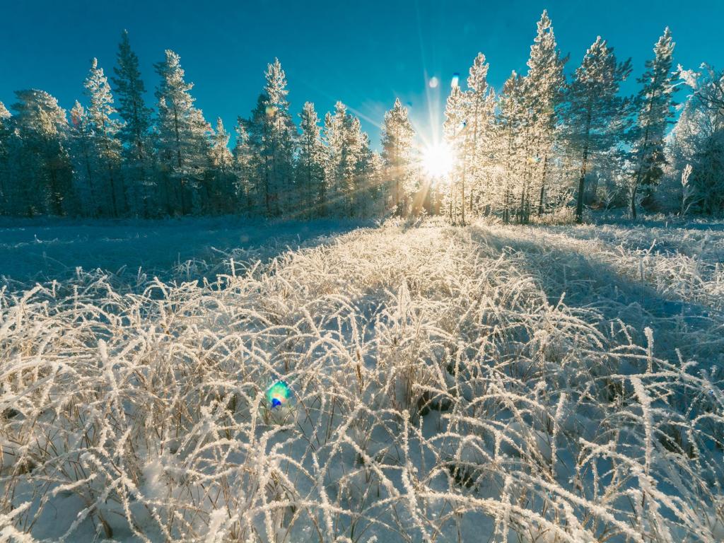 День зимового сонцестояння 2021: коли початок астрономічного Нового року