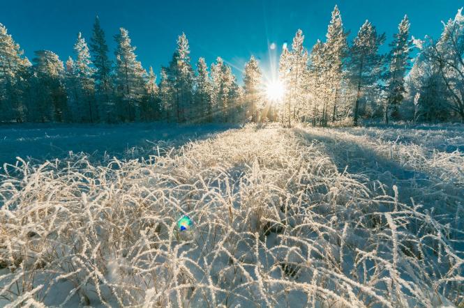 День зимового сонцестояння 2021: коли початок астрономічного Нового року