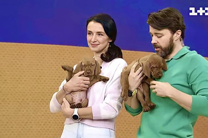 Спасенные щенки из Ирпеня в студии "Сніданок. Онлайн": "Сначала мы называли их Джевелина и Байрактара"