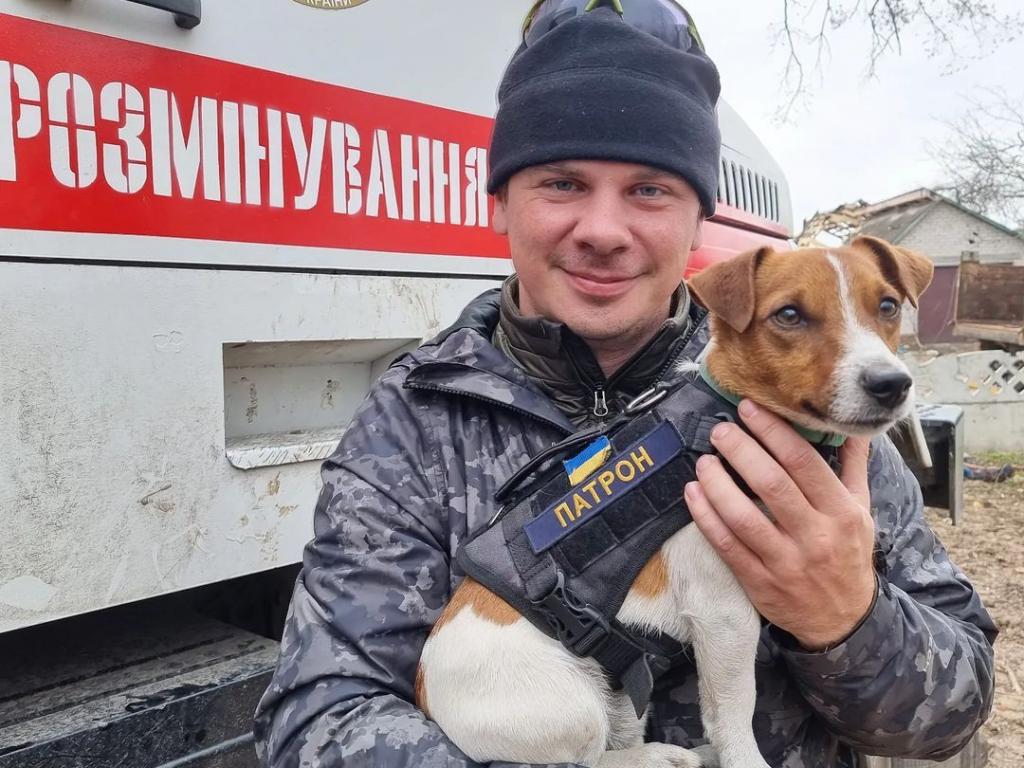 "Познакомился со звездой", — Дмитрий Комаров встретился с собачкой Патроном, который помогает в разминировании в Чернигове