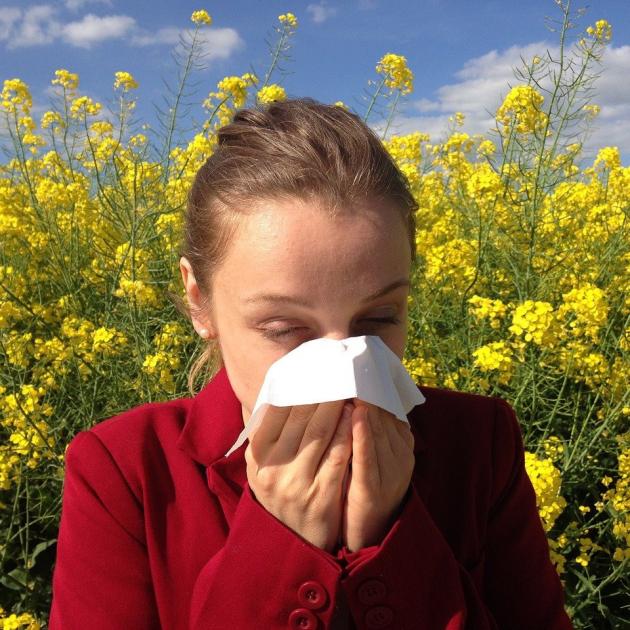 сезонна алергія