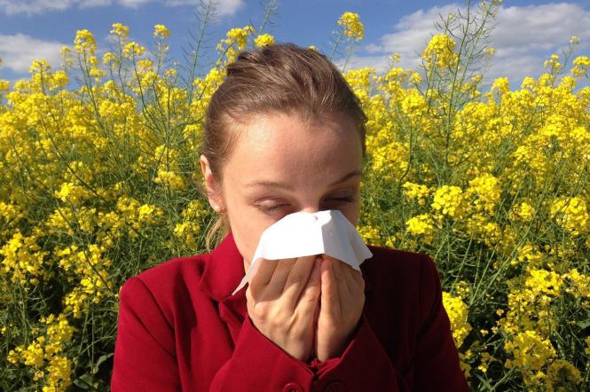 Аллергия на цветение растений: симптомы, как помочь облегчить самочувствие
