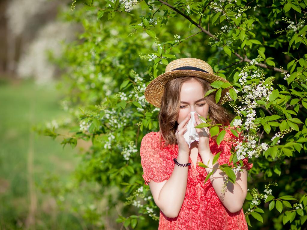 Аллергия: как распознать и лечить, какие растения наиболее аллергенны