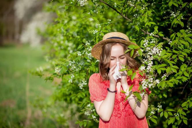 Алергія: як розпізнати і лікувати, які рослини є найбільш алергенними