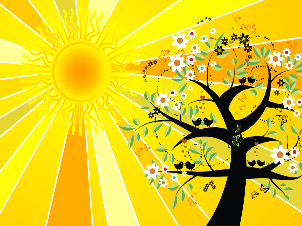 День летнего солнцестояния 2022: дата, традиции и приметы