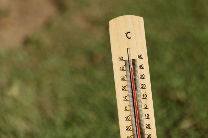Чи буде спекотним літо 2022: прогнози синоптиків