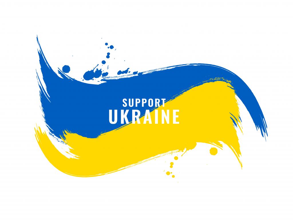 "Байрактар" для України: поляки почали збирати гроші на безпілотник 