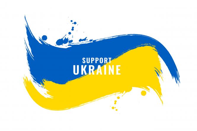 "Байрактар" для Украины: поляки начали собирать деньги на беспилотник