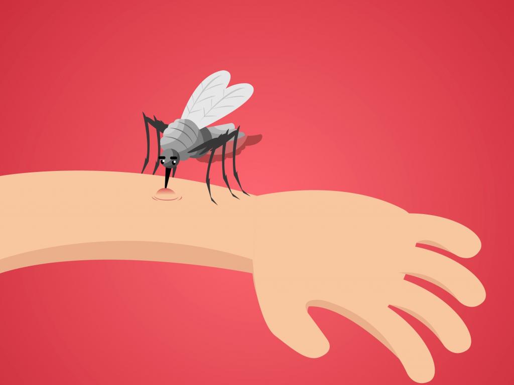 Чем обработать укус комара и что обязательно должно быть в аптечке летом (советует Ярослав Вус)