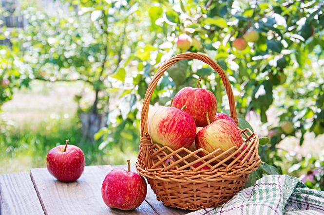 Яблочный Спас 2022: поздравления в картинках, прозе и стихах