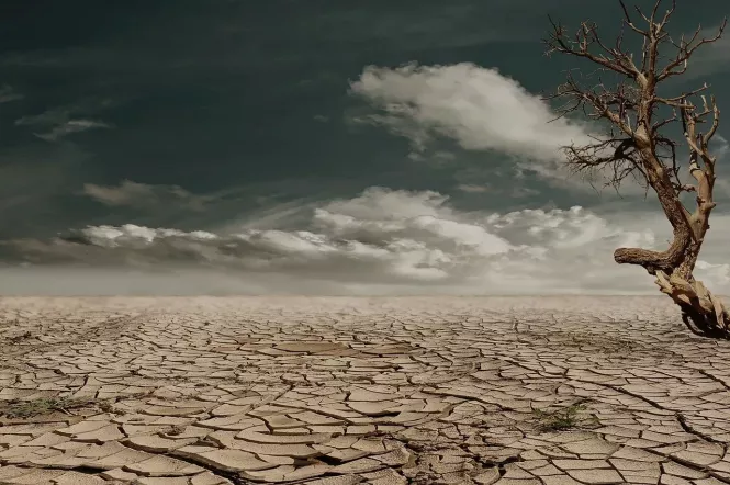 Новий спосіб життя: до яких наслідків призведе найбільша посуха за останні 500 років