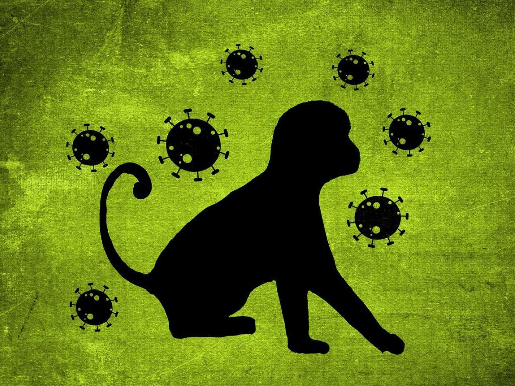 В Україні офіційно зареєстрований випадок віспи мавп: що про це відомо (розказали у МОЗ)