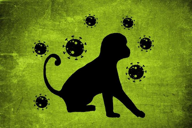 В Україні офіційно зареєстрований випадок віспи мавп: що про це відомо (розказали у МОЗ)