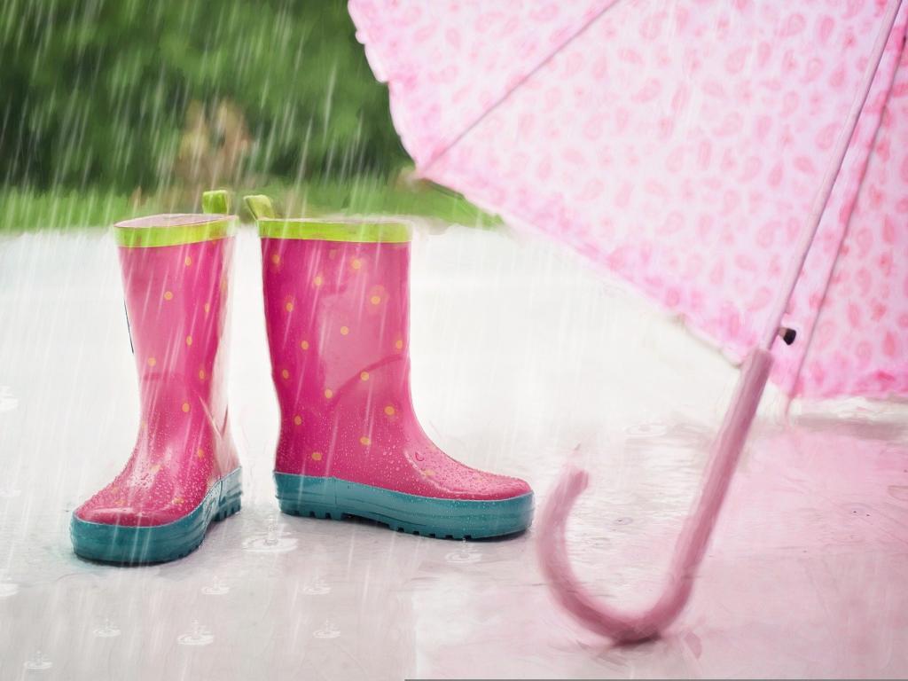 Як вибрати парасольку, дощовик та гумові черевики: огляд в "Сніданку з 1+1"