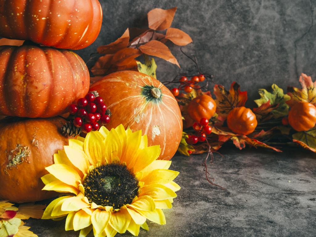 Яке сьогодні свято — 15 жовтня: за церковним і народним календарем