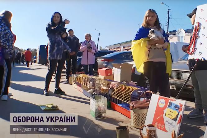11-летняя школьница из Нежина собрала 50 тысяч гривен на тепловизор: история