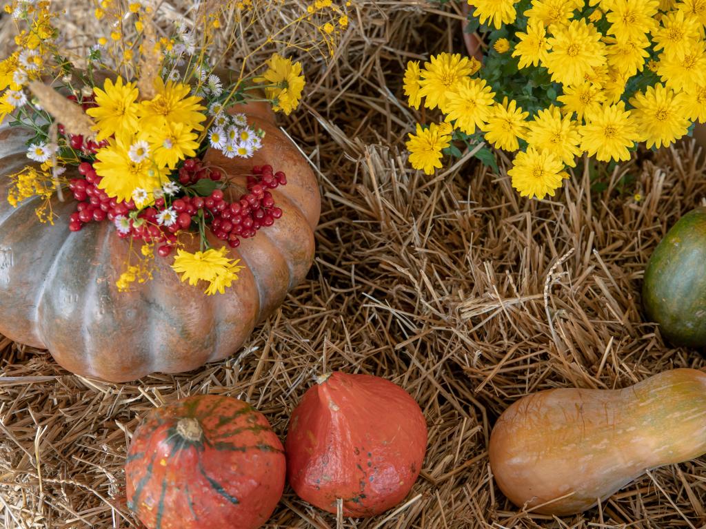 Яке сьогодні свято — 27 жовтня: за церковним і народним календарем