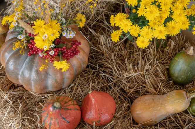 Какой сегодня праздник — 27 октября: по церковному и народному календарю