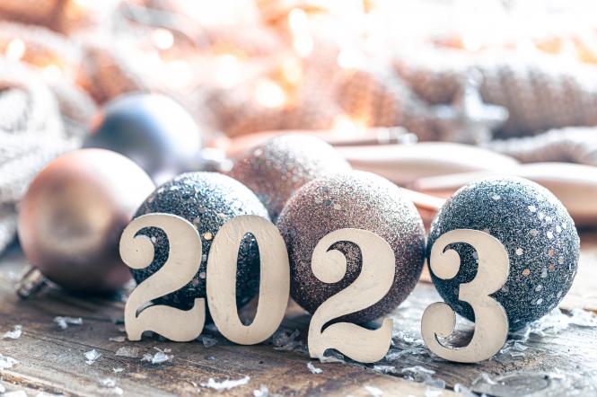 Новый год 2023 какого животного: символ Нового года, талисман