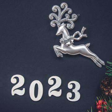 Що не можна робити на Новий рік 2023