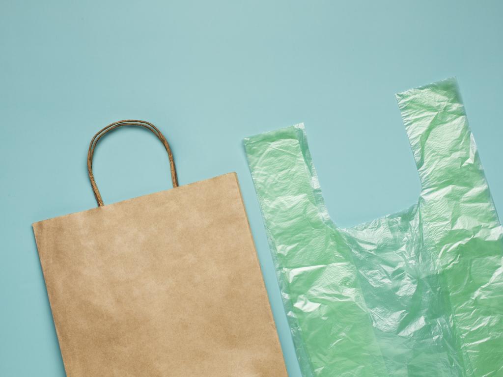 Пакеты-маечки должны исчезнуть из магазинов: на что их заменить