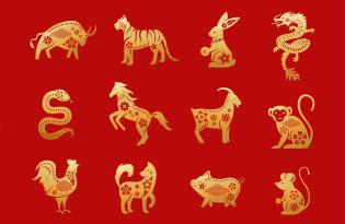 Китайський гороскоп 2023: що чекає на кожен знак східного календаря