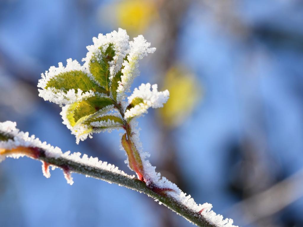 Прогноз погоди: коли чекати похолодання та сніг в Україні навесні 2023 — 1+1