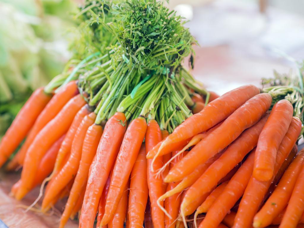 Коли сіяти моркву навесні 2023: сприятливі дні