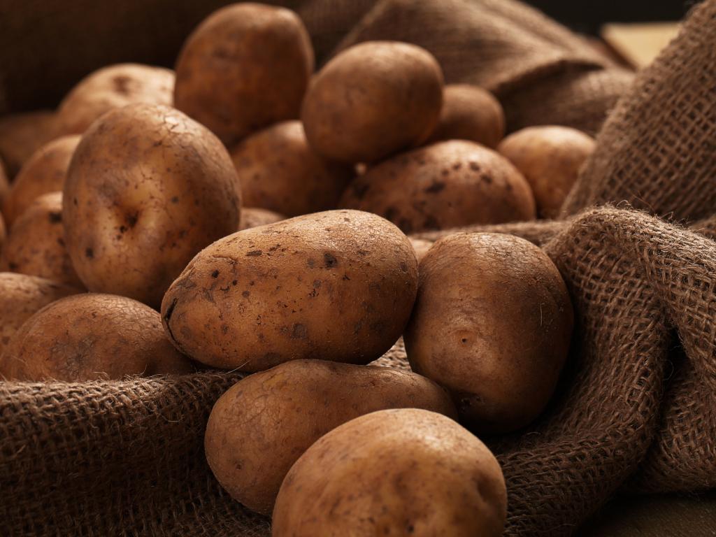 Коли садити картоплю в Україні 2023 — 1+1
