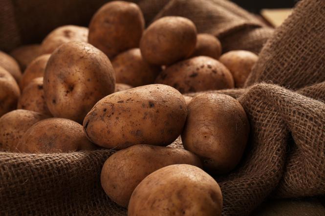 Когда сажать картофель в Украине 2023 — 1+1