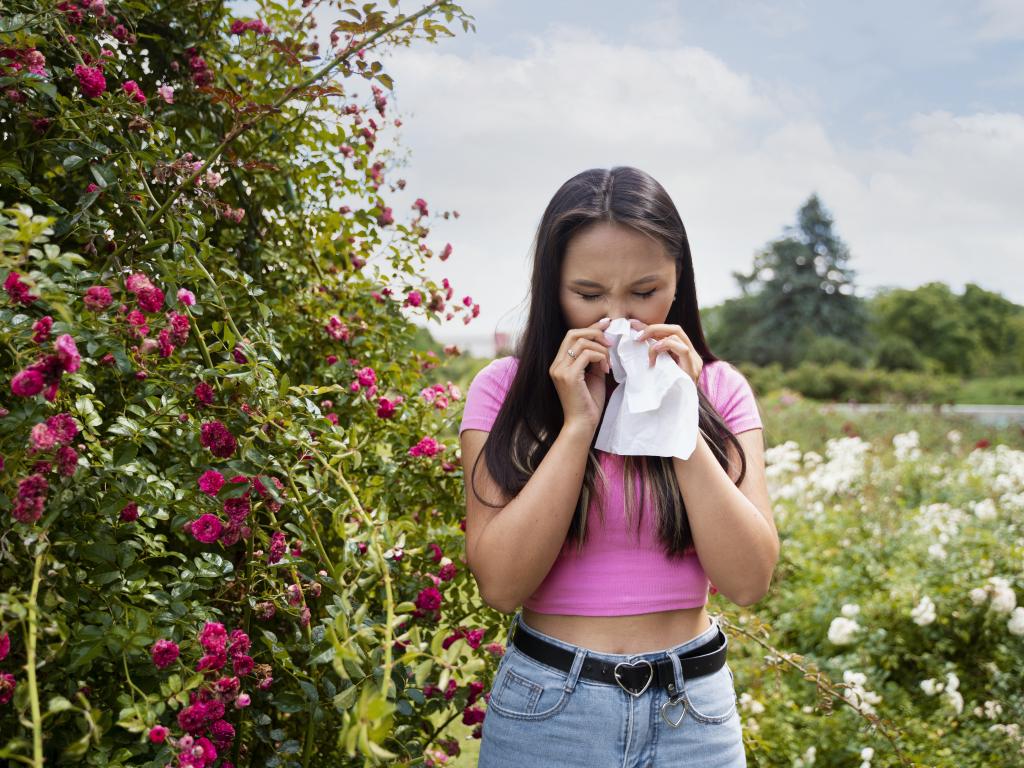 Аллергия: основные симптомы и профилактика — комментирует аллерголог — 1+1