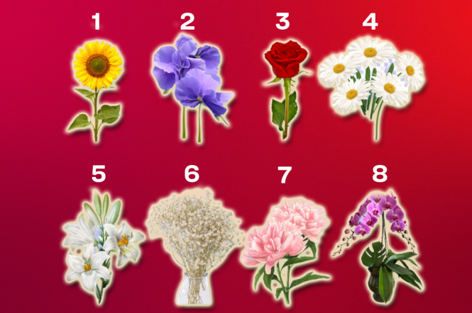 Психологічний тест по картинці — що ваша улюблена квітка говорить про вас — 1+1