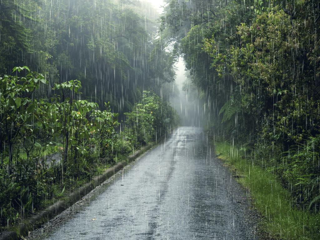 Прогноз погоди: в Україні спека, насуваються грози та зливи