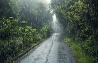 Прогноз погоды: в Украине жара, грозы и ливни 