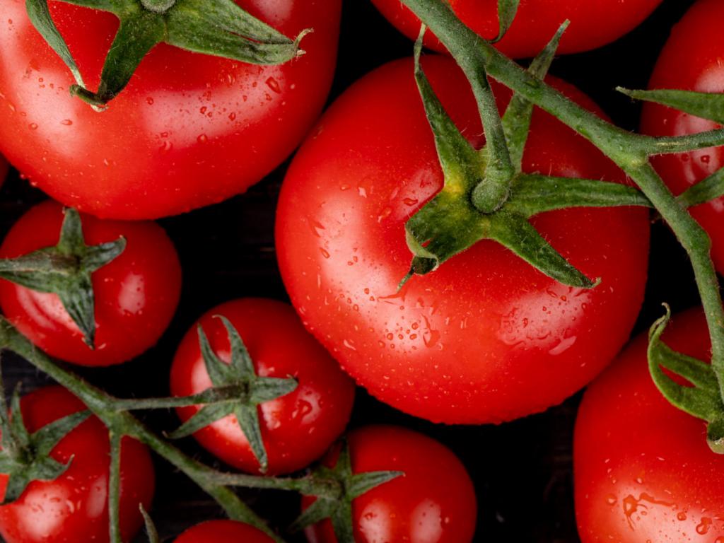 Как ухаживать за томатами летом в открытом грунте: 7 советов