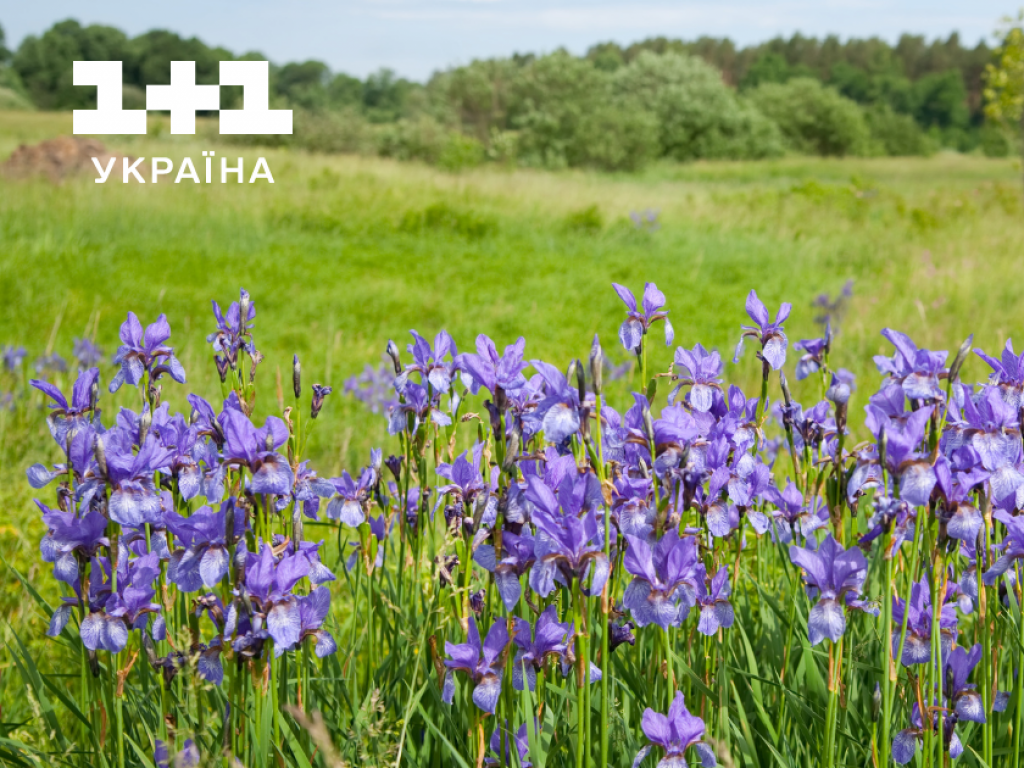 Яке народне свято 4 серпня — традиції та прикмети дня Яке народне свято 4 серпня — традиції та прикмети дня
