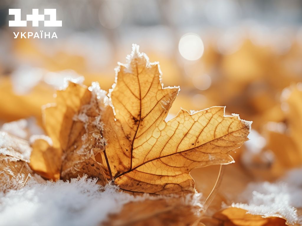 Де та коли перші заморозки в Україні: прогноз погоди