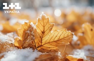 Где и когда первые заморозки в Украине: прогноз погоды