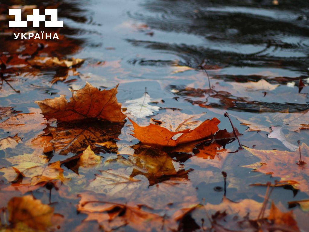 Прогноз погоди на вихідні в Україні: синоптики прогнозують пориви вітру та дощі з грозами