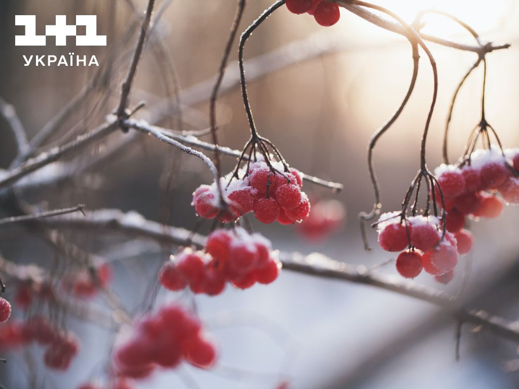 Прогноз погоди: в Україні випав перший сніг — де очікувати перші заморозки