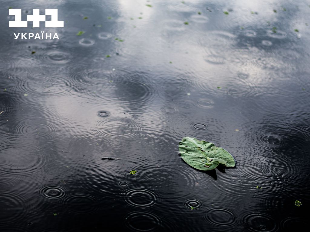 В Україні попередили про погіршення погодних умов: очікуються дощі та пориви вітру