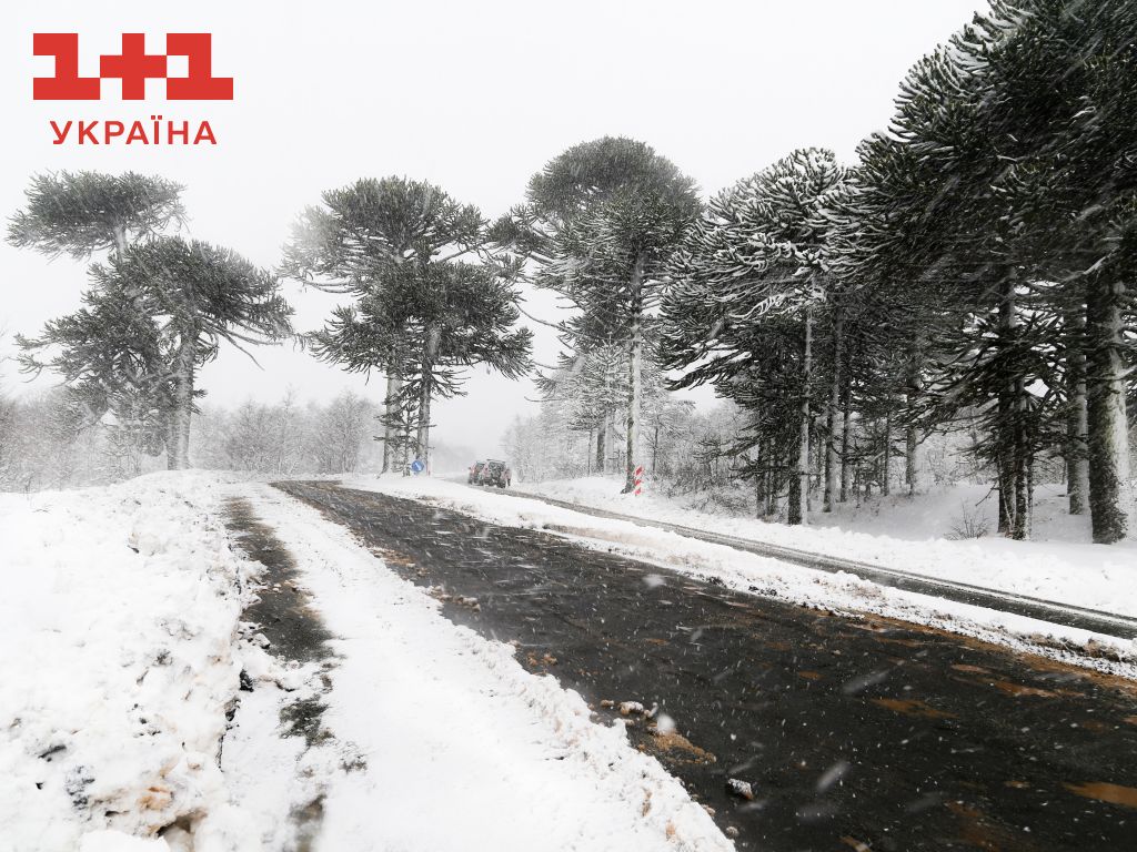 Прогноз погоди в Україні на 13 грудня: очікується туман, на дорогах місцями ожеледиця